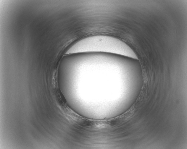 X0000066540360200603171101