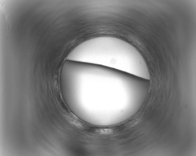 X0000066540361200603171101