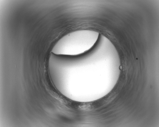 X0000066540362200603171101