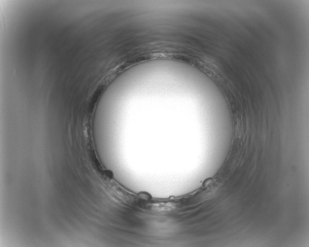 X0000066540363200603171101