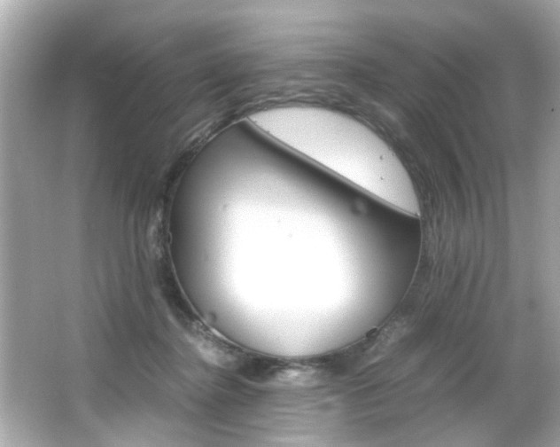 X0000066540364200603171101