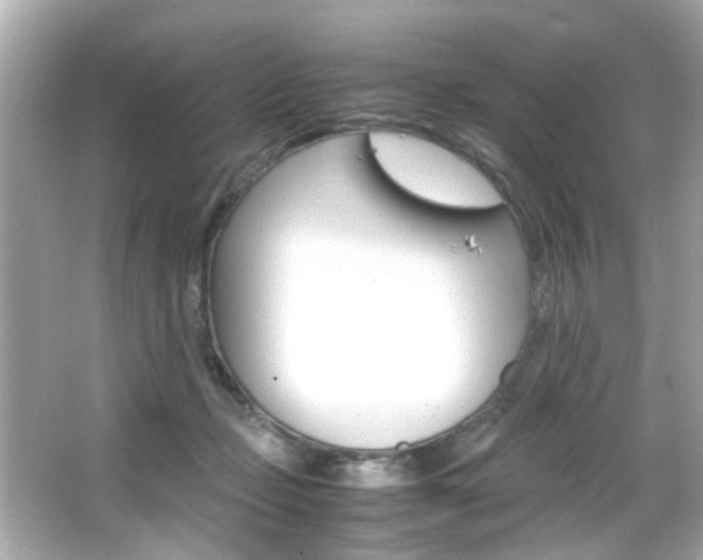 X0000066540365200603171101