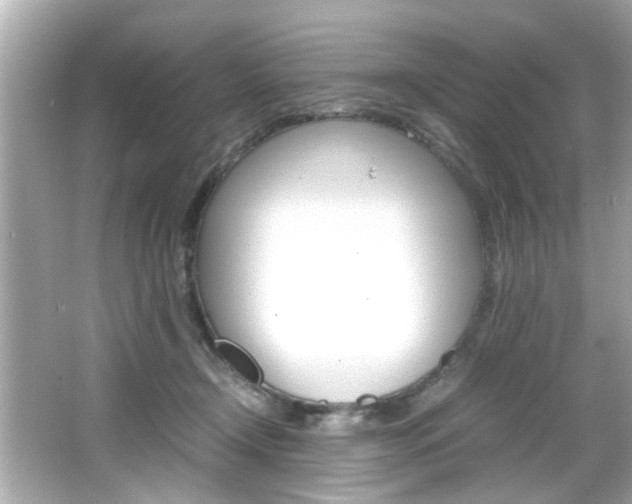 X0000066540366200603171101