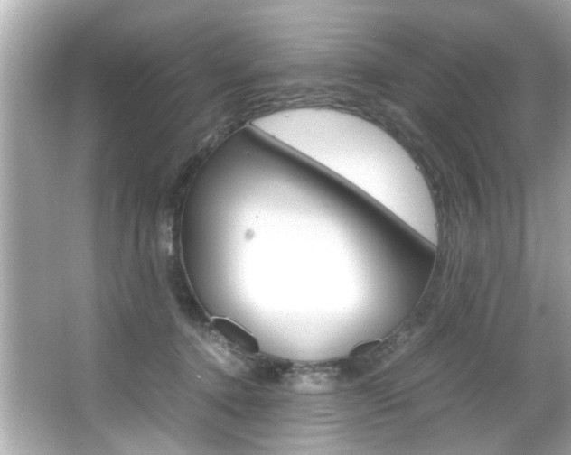 X0000066540368200603171101