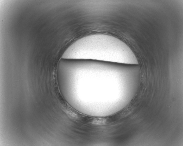 X0000066540369200603171101