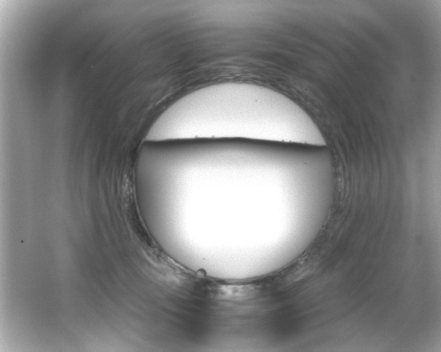 X0000066540371200603171101