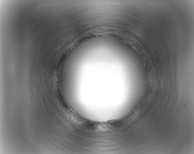 X0000066540372200603171101