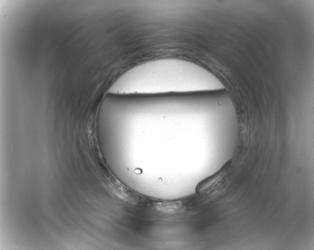 X0000066540373200603171101