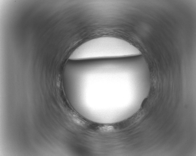 X0000066540374200603171101