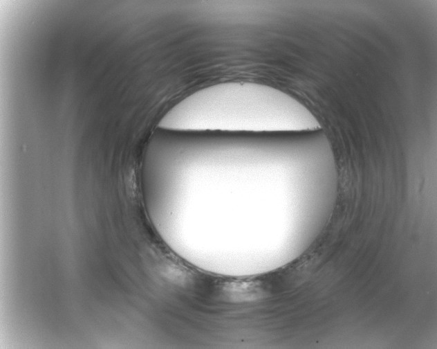 X0000066540375200603171101