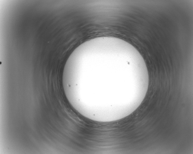 X0000066540376200603171101