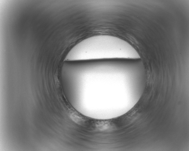 X0000066540377200603171101