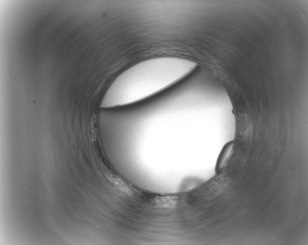 X0000066540378200603171101