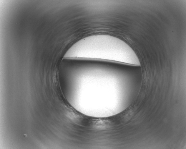 X0000066540379200603171101