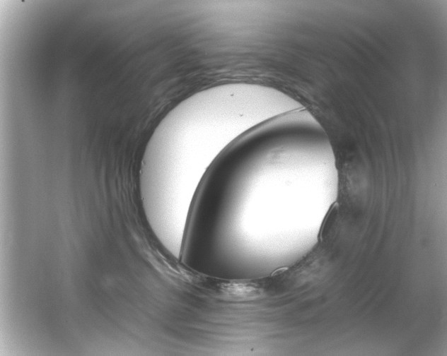 X0000066540380200603171101