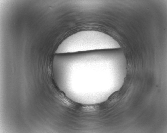 X0000066540381200603171101