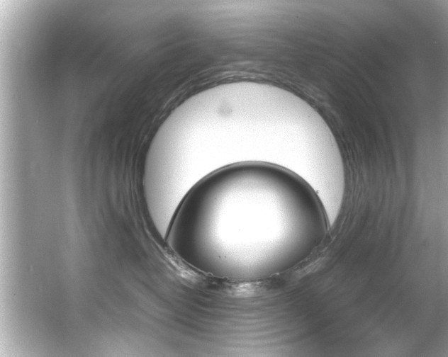 X0000066540382200603171101