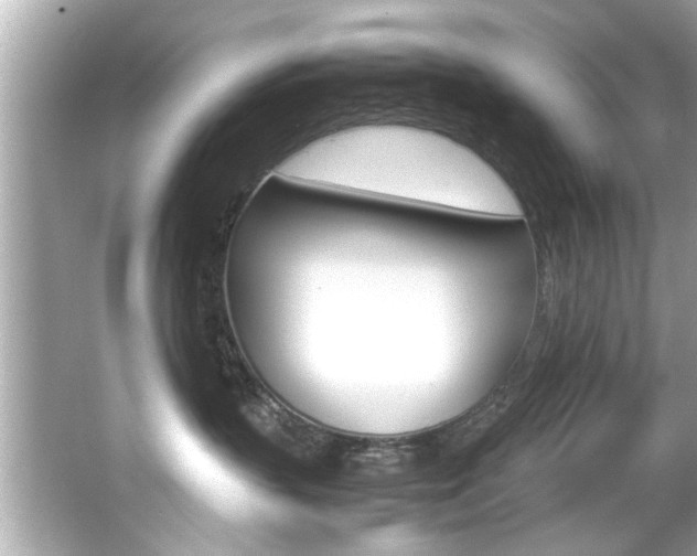 X0000066540383200603171101