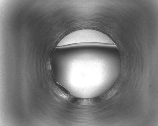 X0000066540384200603171101