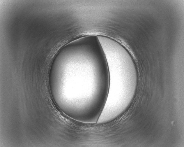 X0000066540385200603171101