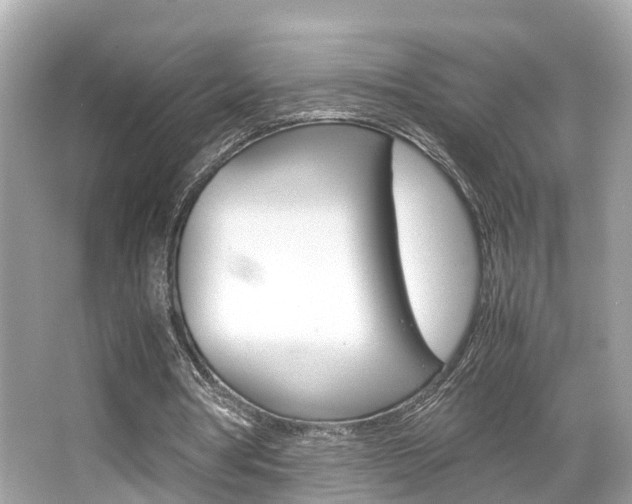 X0000066540386200603171101