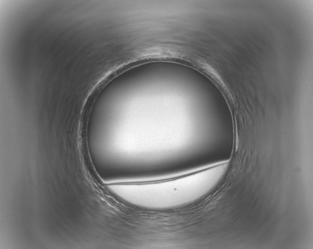 X0000066540387200603171101