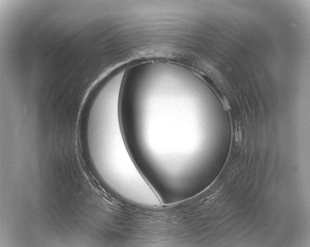 X0000066540388200603171101