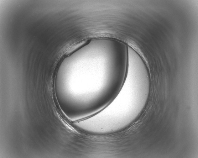 X0000066540389200603171101