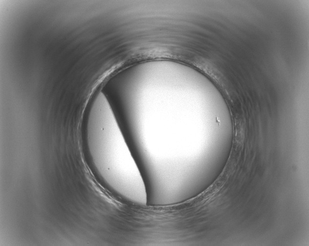 X0000066540390200603171100