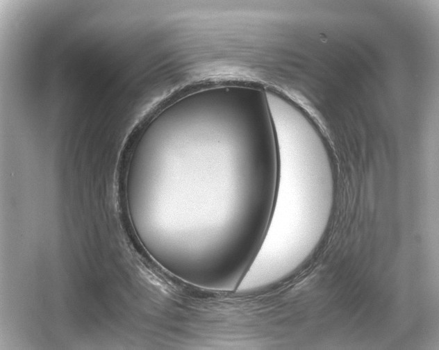 X0000066540391200603171100