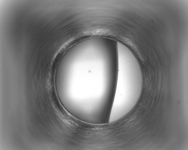 X0000066540392200603171100