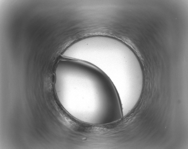 X0000066540393200603171100