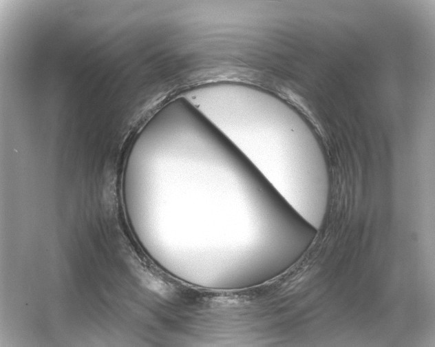 X0000066540394200603171100