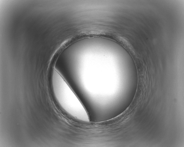 X0000066540395200603171100