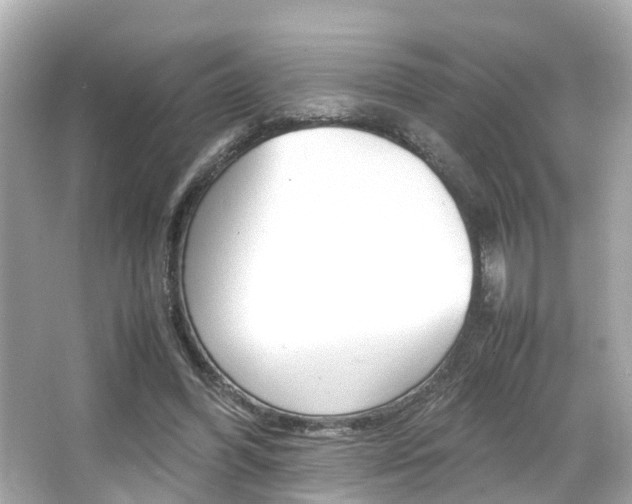 X0000066540396200603171100