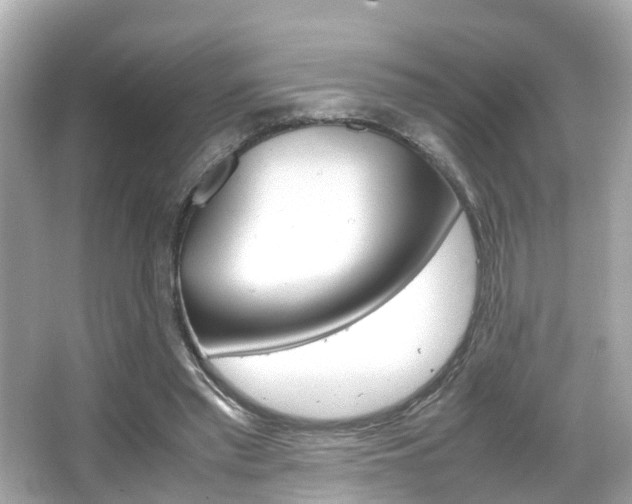 X0000066540397200603171100