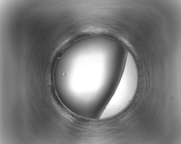 X0000066540399200603171100