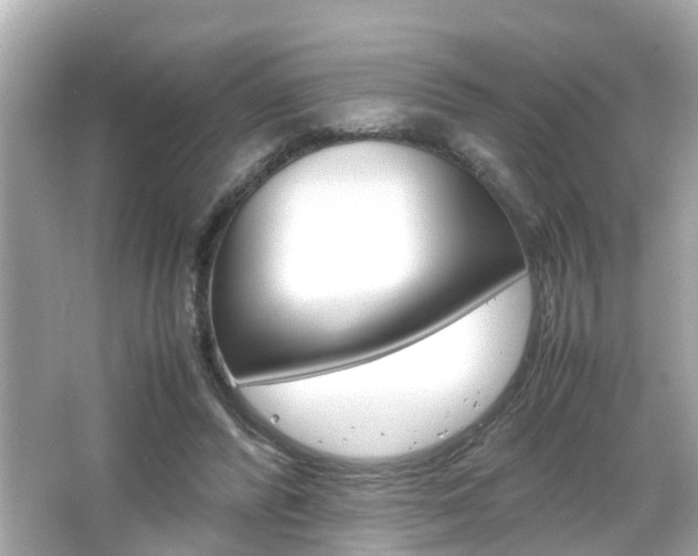 X0000066540400200603171100