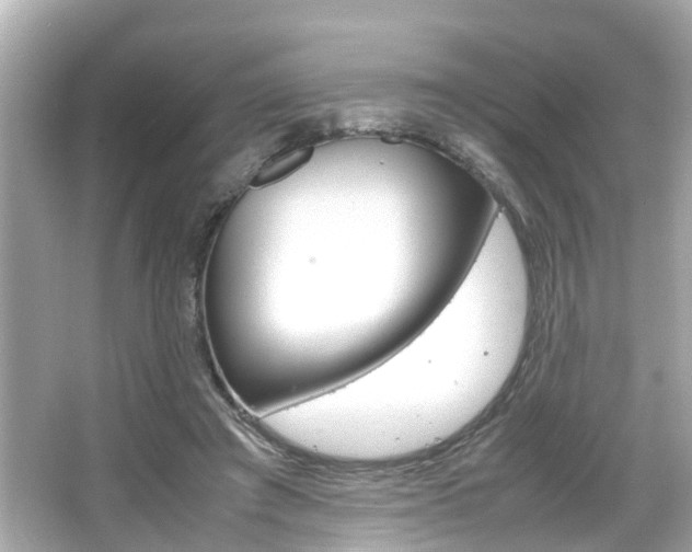 X0000066540401200603171100