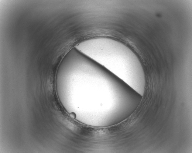 X0000066540402200603171100