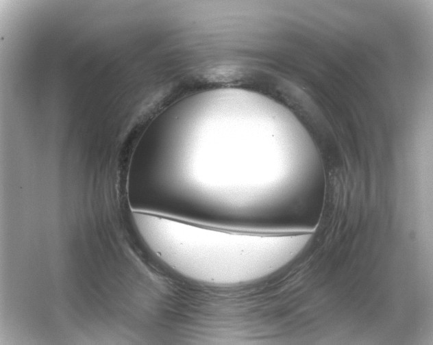 X0000066540404200603171100