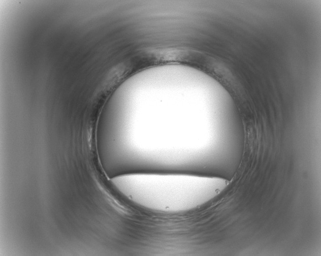 X0000066540406200603171100