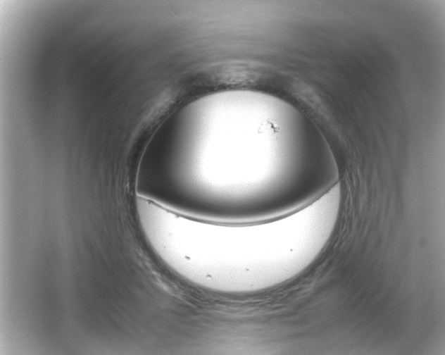 X0000066540407200603171100