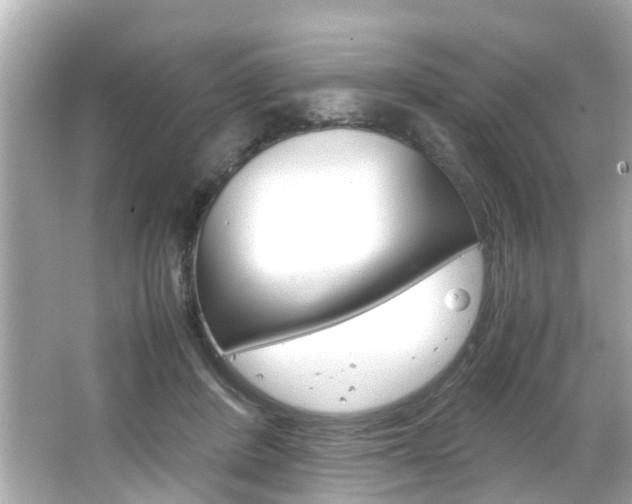 X0000066540408200603171100