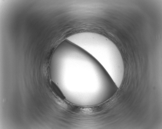 X0000066540409200603171100