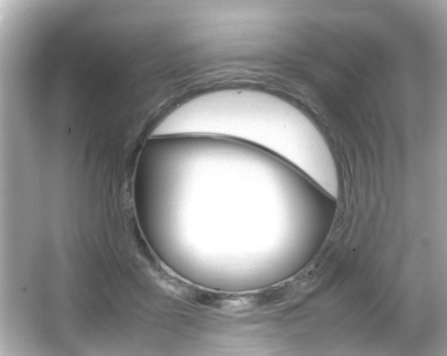 X0000066540411200603171100