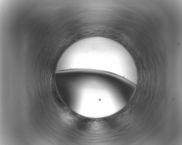 X0000066540412200603171100