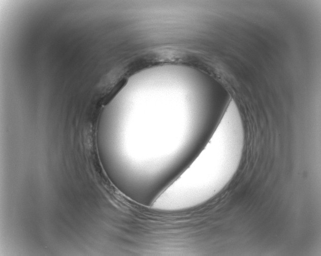 X0000066540413200603171100