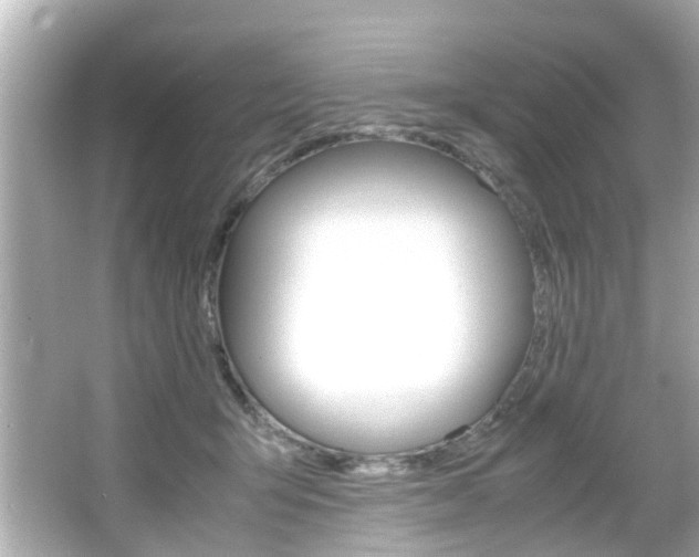 X0000066540415200603171100