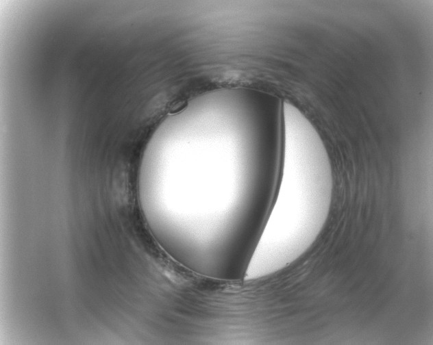 X0000066540416200603171100